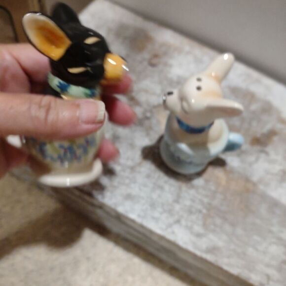 Teacup Chauawa Salt and Pepper magnetic Ceramic Shakers. C5 - Picture 6 of 8